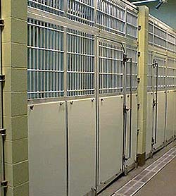 Custom Zoo Caging Solutions for Primates and More