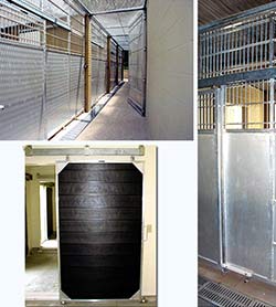 Custom Zoo Caging Solutions for Primates and More